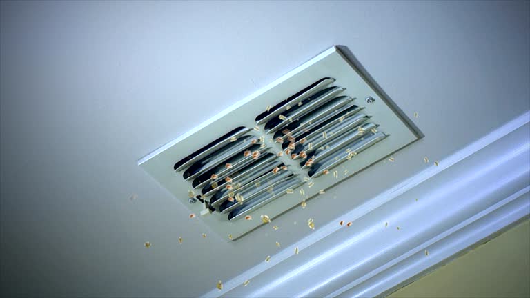 Best HVAC Duct Inspection Services  in Hope, AR