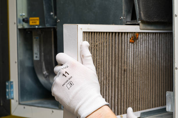 Best Dryer Vent Cleaning Services  in Hope, AR