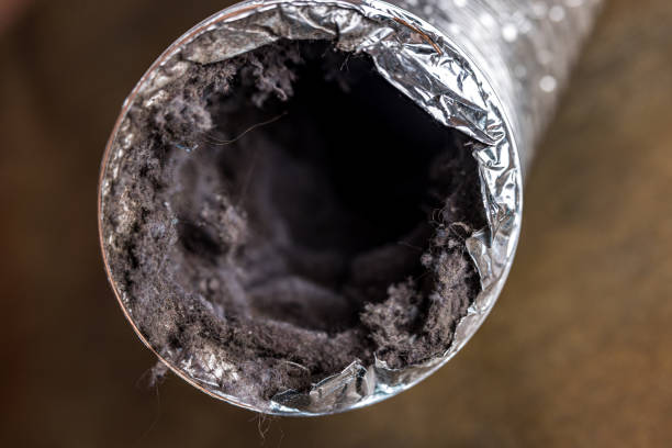 Best Emergency Air Duct Cleaning  in Hope, AR